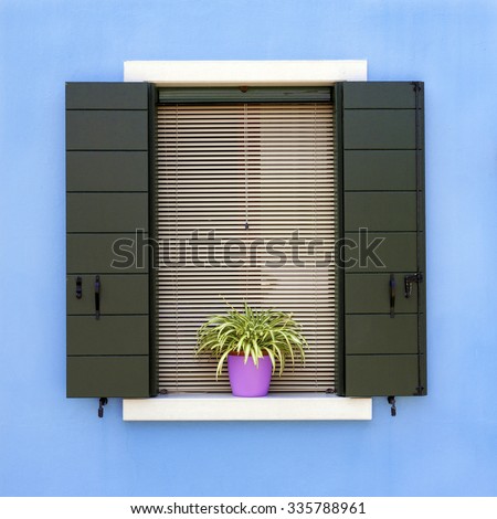 Traditional colorful residential house window with opened shutters and flower pot in venetian island of Burano