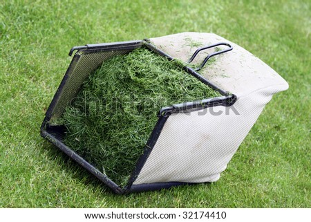 Lawn mower basket full of freshly cut grass lying on the lawn