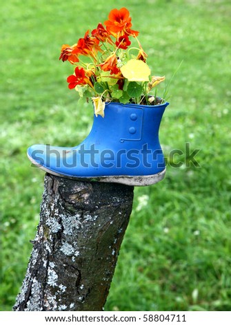 Funny flower decoration set in old rubber boot
