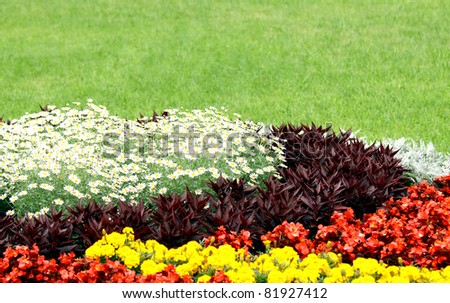 Flowerbed/Beautiful flowerbed in public space against green grass background