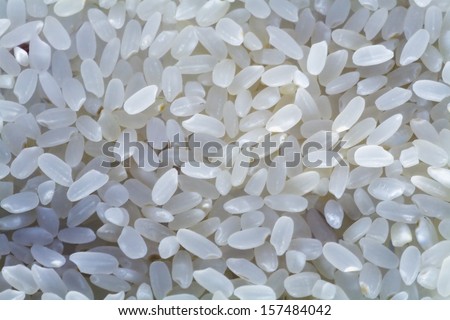 White selected rice grains as a food background