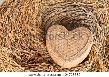 Rice paddy with the bamboo basket