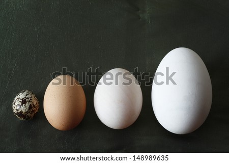 A goose egg, duck egg, hen egg and a quail egg. Still Life photography.