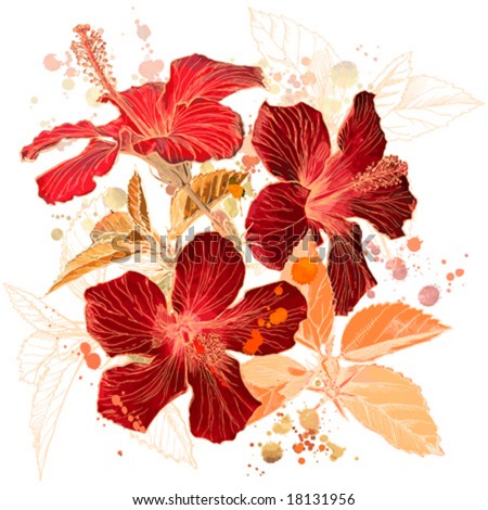 stock vector Hibiscus flower vector watercolor paint