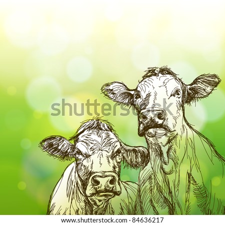 two cows sketch & green bokeh background. Bitmap copy my vector ID 77385517
