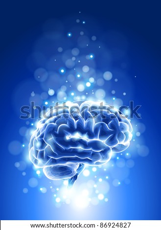 brain id