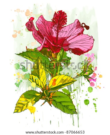 stock photo Hibiscus flower hand draw Bitmap copy my vector