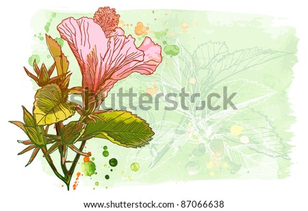 stock photo Hibiscus flower hand draw Bitmap copy my vector