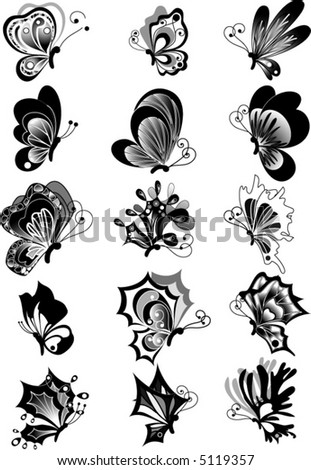 black and white butterfly designs. stock vector : Butterfly