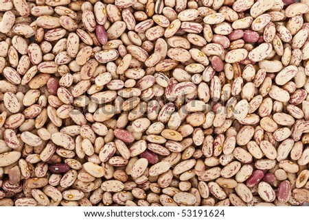 Pinto beans or mottled beans in a background