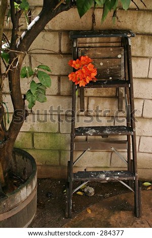 Old ladder on block wall with orange flowers next to tree in barrel.