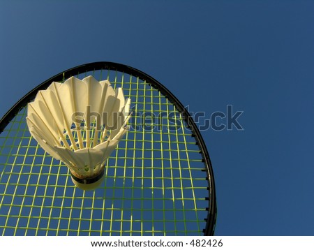 Badminton Sports