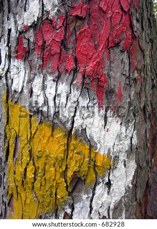 Painted Wood â€“ Go Left or Go Right!