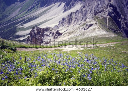 European Alps - European Mountain – Alps in Austria