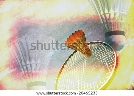 Play Badminton. Badminton Racket and Shuttlecock ? Badminton Memory from My Sport