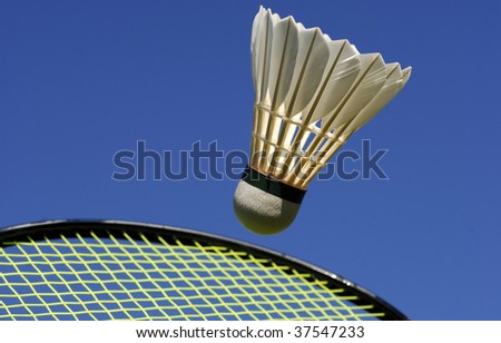 Play the badminton ball.