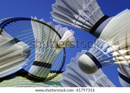 Badminton Game Memory
