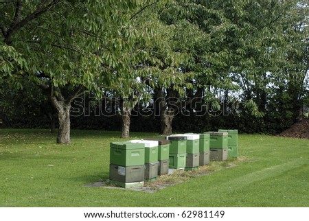 Danish bee-houses on green grass in garden