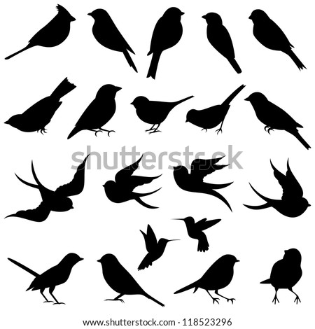Vector Collection Of Bird Silhouettes