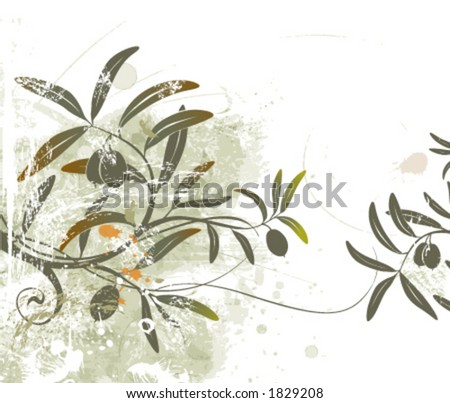 Olive Vector