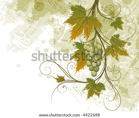 Grape Vine Clipart. stock vector : Grapevine