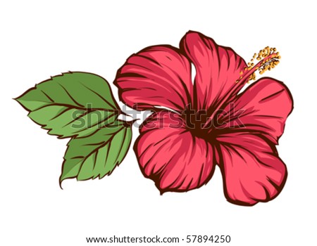 Tropical Flower Tattoos on Tropical Flower Stock Vector 57894250   Shutterstock