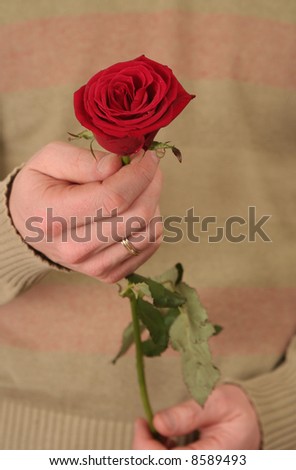 One red rose in a man's hand