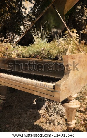 Vintage picture with flowers that grows inside piano.