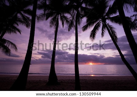 Sun rising above the ocean with palm trees in foreground