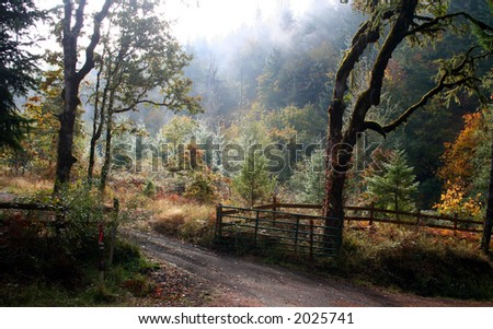 Morning light and fog highlight the vivid autumn colors of this half-tamed wilderness and gate.