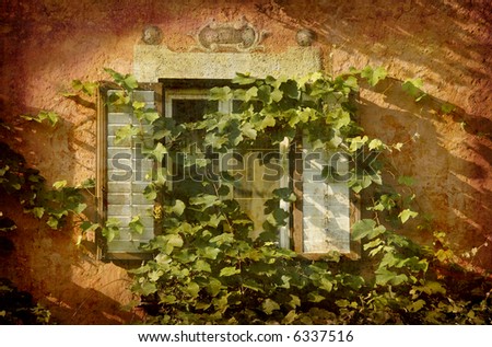 Artistic work of my own in retro style - Postcard from Italy. - Window with ivy - Chiuso