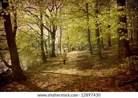 Artistic work of my own in retro style - Postcard from Denmark. - Lonely walk in the Beech forest.
