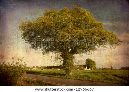 Artistic work of my own in retro style - Postcard from Denmark. - Lonely old Oak tree