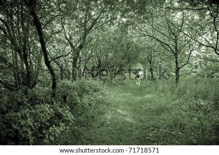 Lonely senior woman walking in a Danish forest at springtime.
