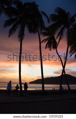 Palm trees and people silhouetted against the sunset