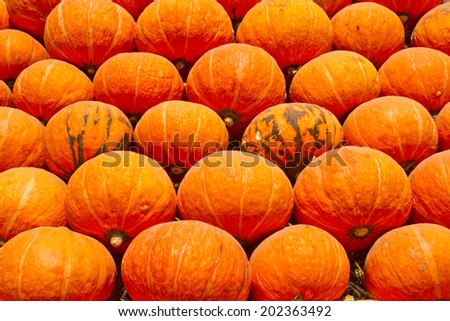 Pumpkin many golden balls on the floor