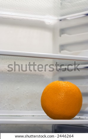 An orange inside fridge, sitting alone on the shelf. Copyspace provided.