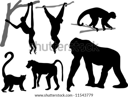 ape silhouette