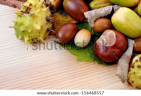 Cobnuts, horse chestnuts, acorns and autumn leaves form a diagonal border on a wooden background with copy space
