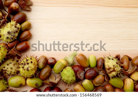 Green and brown two-sided frame of natural autumn material - conkers, acorns, cobnuts and beechnuts - on a woodgrain background with copy space