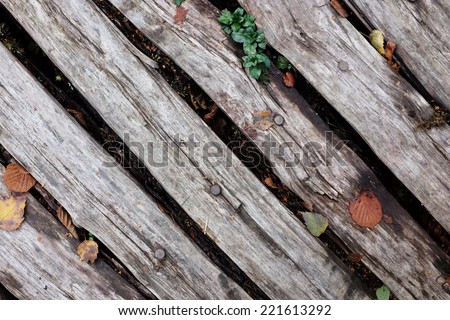 Diagonal weathered nailed wooden planks with autumn leaves