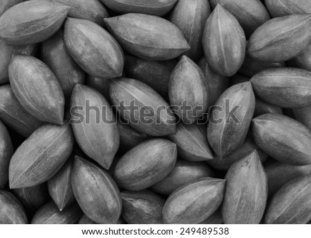 Pecan nuts as an abstract background texture - monochrome processing