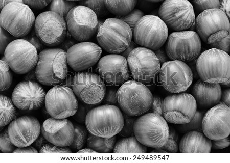 Hazelnuts as an abstract background texture - monochrome processing