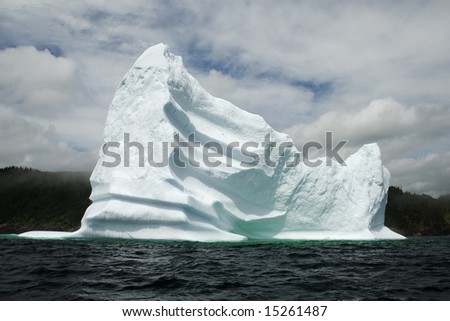 trinity bay newfoundland