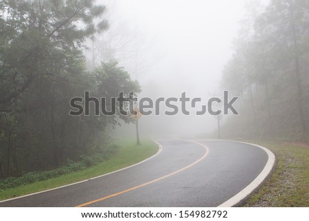 fog road