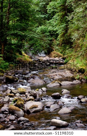 Beautiful creek in Oregon wilderness