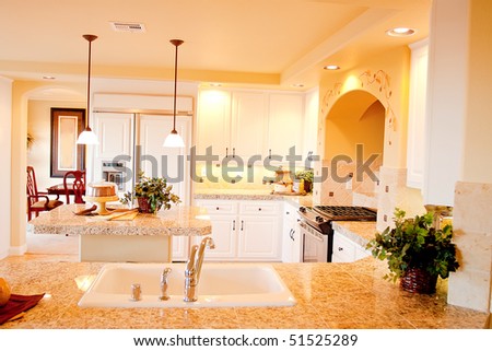 Interior of a modern elegant kitchen