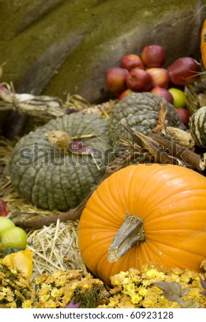 Pumpkin patch fall decoration
