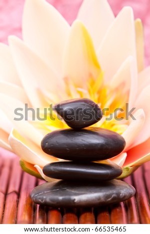 Hot massage stones and water lily on bamboo mat