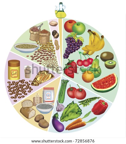 Illustration of necessary food for our body